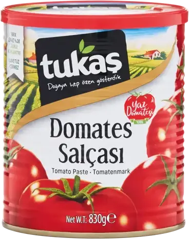 DOMATES SALÇASI